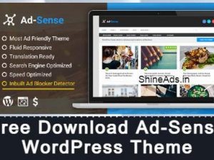 Ad-Sense WordPress Theme v1.4.4 Free Download [GPL]