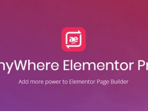 AnyWhere Elementor Pro Free Download [v2.25.7]