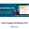 Auto Image Attributes Pro Free Download v4.3