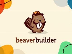 Beaver Builder Pro Free Download [v2.7.0.5]