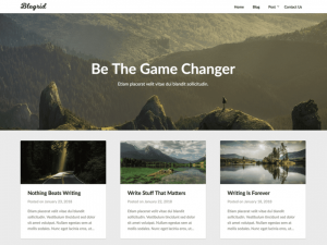 Blogrid Theme Free Download [v127.4]