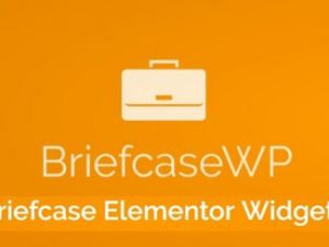 Briefcase Elementor Widgets Free Download [v2.1.5]