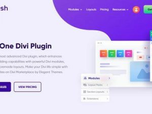 DiviFlash Free Download v1.2.1[All Divi Modules In One Divi Plugins]