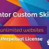 Elementor Custom Skin Pro v3.24 Free Download [GPL]