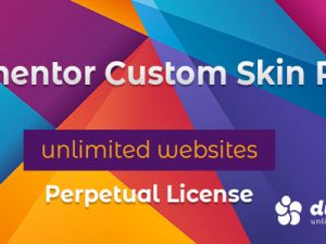 Elementor Custom Skin Pro v3.24 Free Download [GPL]