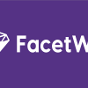 FacetWP Plugin Free Download [v4.2.1]