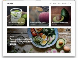 Fast Blog WordPress Theme Free Download