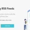 Feedzy RSS Feeds Pro Free Download [v2.2.3]