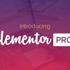 Free Download Elementor Pro v3.13.2 (Pro Templates)