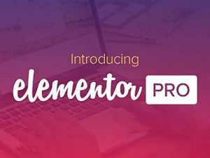 Free Download Elementor Pro v3.13.2 (Pro Templates)