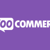 Free Download Product Video for WooCommerce v1.5.1