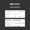 [GPL] Free Download All Products For Subscriptions WooCommerce Extension v4.0.6