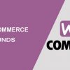 [GPL] Free Download Brands WooCommerce Extension v1.6.51