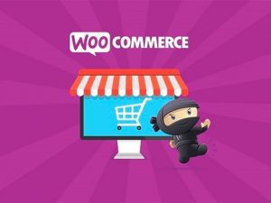 [GPL] Free Download Force Sells WooCommerce Extension v1.1.28