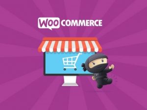 [GPL] Free Download WooCommerce Chase Paymentech Gateway Extension v1.16.1