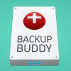 iThemes BackupBuddy Plugin Free Download [v8.8.3]