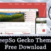 PeepSo Gecko Theme Free Download [v6.1.3.0]