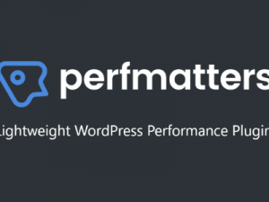 Perfmatters Plugin Free Download [v2.1.1]