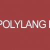 Polylang Pro Free Download [v3.4.2]