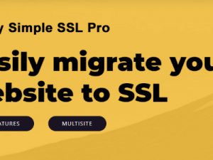 Really Simple SSL Pro Free Download [v7.0.1]