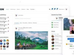 Reign WordPress Theme Free Download v4.9.2[BuddyPress Theme]