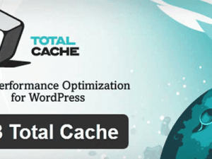 W3 Total Cache Pro Free Download [v2.3.2]