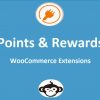 WooCommerce Points and Rewards Extension Free Download [v1.7.33]