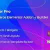 WooLentor Pro Free Download [v2.2.0]