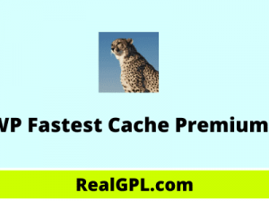 WP Fastest Cache Premium Free Download v1.6.9