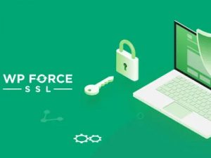 WP Force SSL Pro Free Download [v5.31]