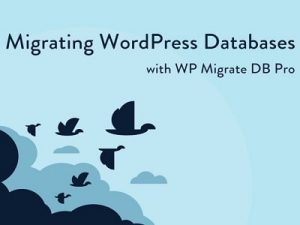 WP Migrate DB Pro Plugin Free Download [v2.6.8]