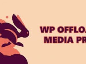 WP Offload Media Pro Free Download [v3.2.1]