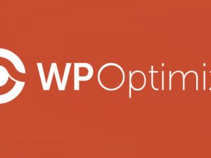 WP Optimize Premium Plugin Free Download [v3.2.15]