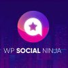 WP Social Ninja Pro Plugin v3.9.0 Free Download [GPL]