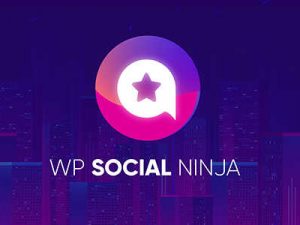 WP Social Ninja Pro Plugin v3.9.0 Free Download [GPL]