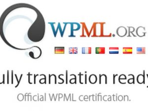 WPML CMS Multilingual Free Download v4.6.3[All Addons]